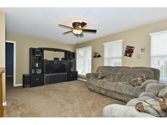 41 Wellington Downs, O'fallon, MO 63368 photo 18