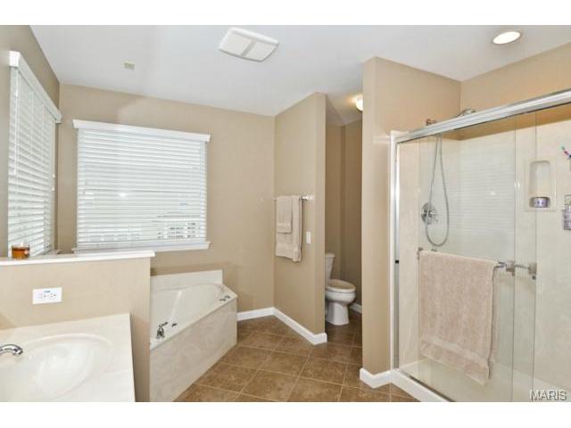 41 Wellington Downs, O'fallon, MO 63368 photo 24