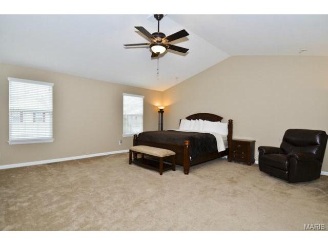 41 Wellington Downs, O'fallon, MO 63368 photo 20