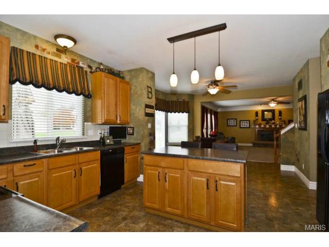 41 Wellington Downs, O'fallon, MO 63368 photo 14