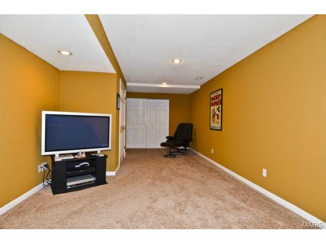 41 Wellington Downs, O'fallon, MO 63368 photo 34