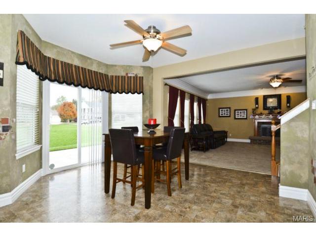 41 Wellington Downs, O'fallon, MO 63368 photo 10