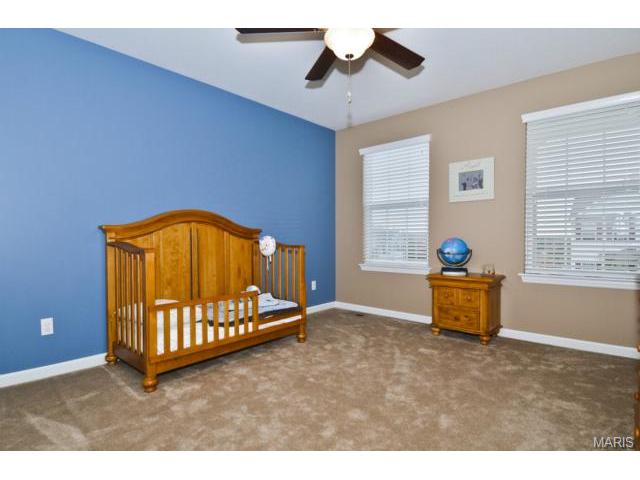 41 Wellington Downs, O'fallon, MO 63368 photo 26
