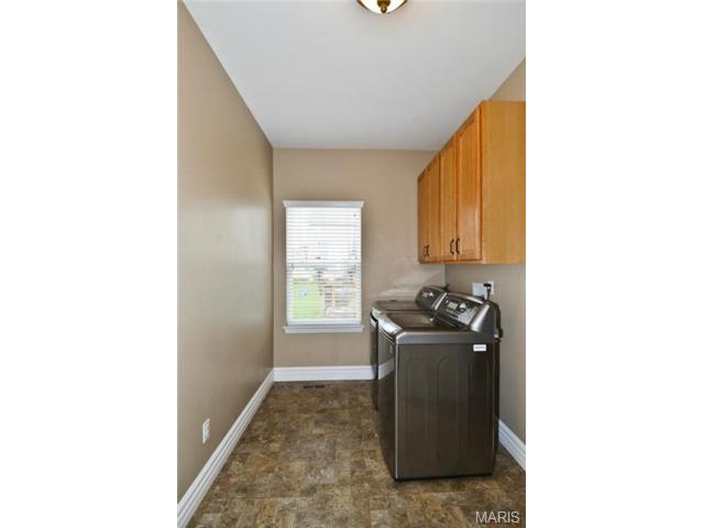 41 Wellington Downs, O'fallon, MO 63368 photo 16