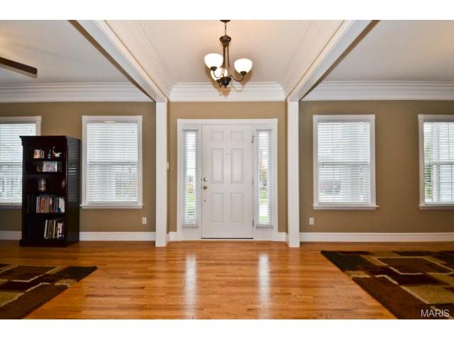 41 Wellington Downs, O'fallon, MO 63368 photo 2