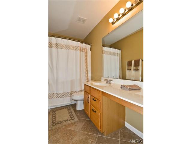 41 Wellington Downs, O'fallon, MO 63368 photo 29
