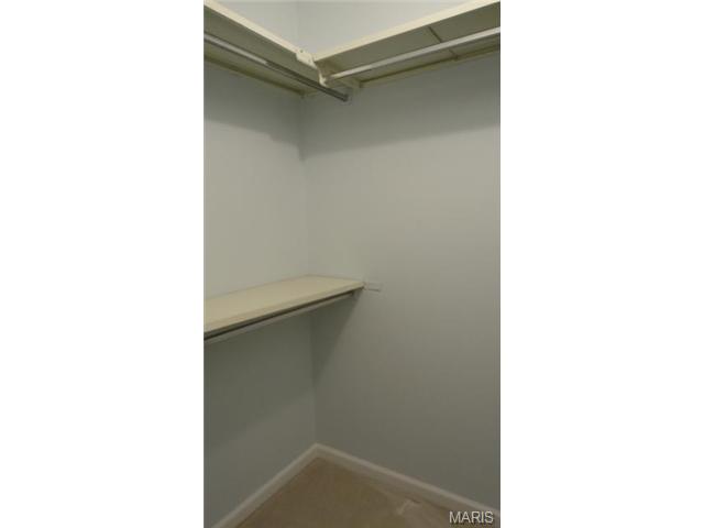 702 Turtle Cv, Ballwin, MO 63011 photo 23