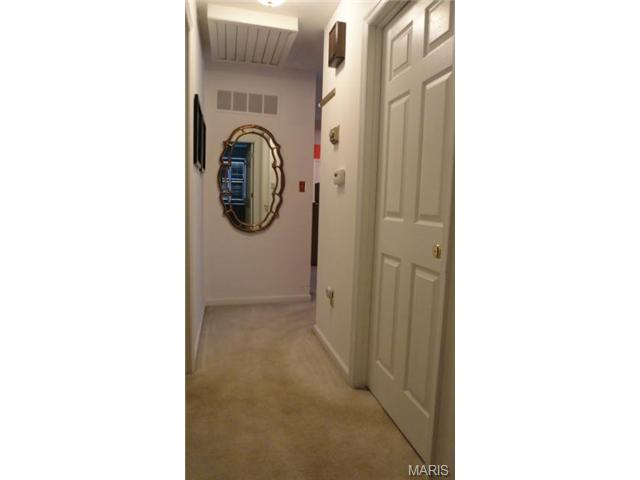 702 Turtle Cv, Ballwin, MO 63011 photo 27