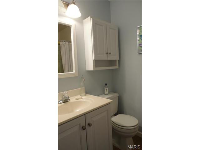 702 Turtle Cv, Ballwin, MO 63011 photo 25