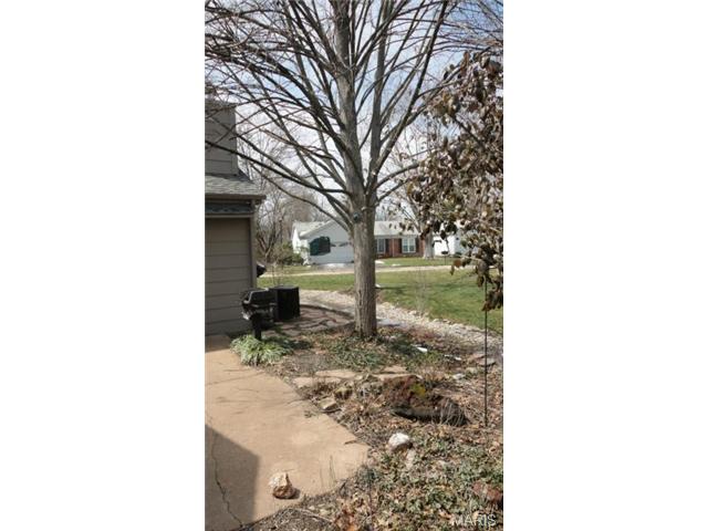 702 Turtle Cv, Ballwin, MO 63011 photo 36