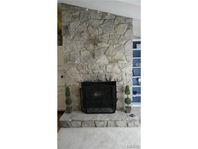 702 Turtle Cv, Ballwin, MO 63011 photo 9