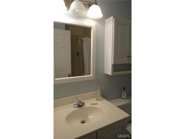 702 Turtle Cv, Ballwin, MO 63011 photo 26