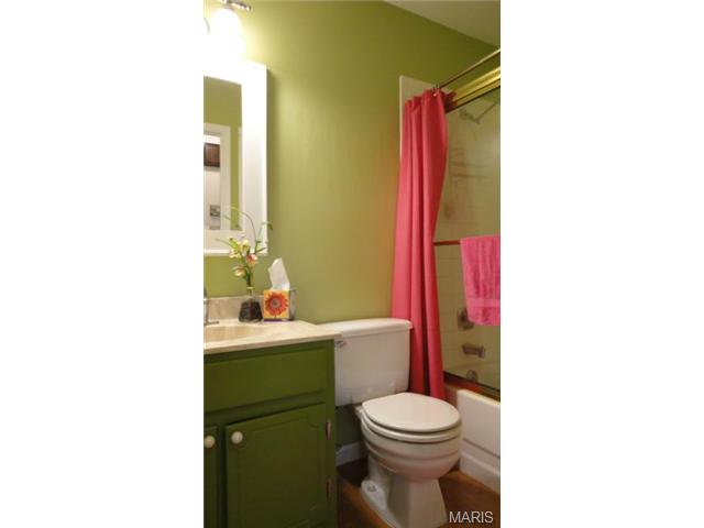 702 Turtle Cv, Ballwin, MO 63011 photo 18