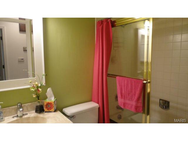 702 Turtle Cv, Ballwin, MO 63011 photo 17