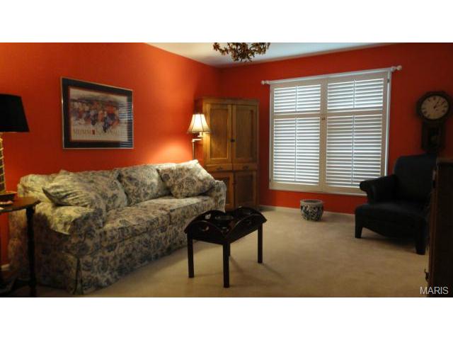 702 Turtle Cv, Ballwin, MO 63011 photo 11