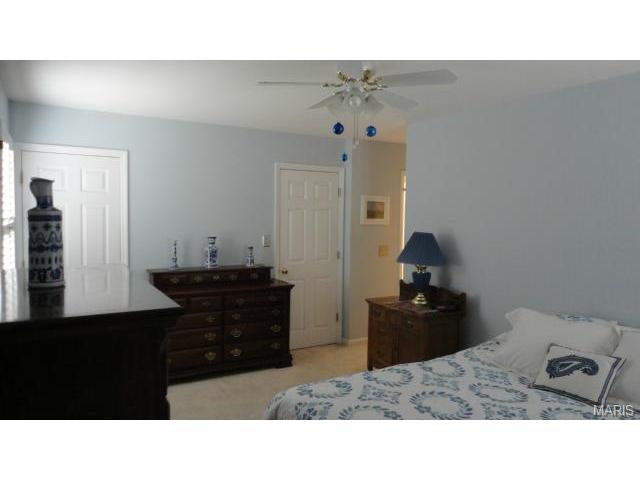 702 Turtle Cv, Ballwin, MO 63011 photo 21