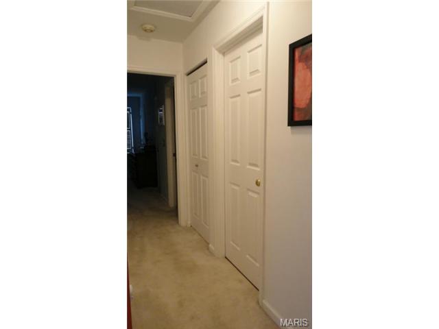 702 Turtle Cv, Ballwin, MO 63011 photo 13