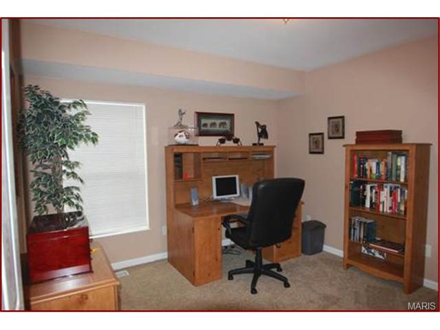 1326 Franklins Kite Dr, O'fallon, MO 63366 photo 8