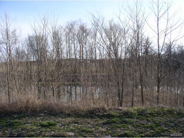 432 Covered Bridge Ln, O'fallon, MO 63368 photo 22