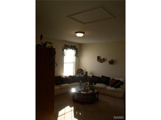 432 Covered Bridge Ln, O'fallon, MO 63368 photo 14