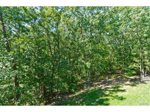 1144 Terry Rd, Augusta, MO 63332 photo 66