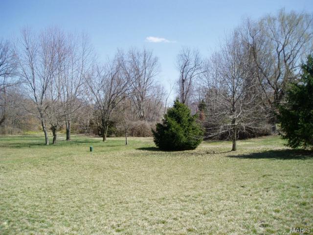 416 Dovedale Dr, O'fallon, MO 63366 photo 3