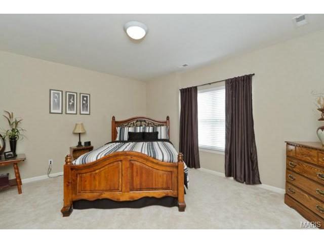 949 Molloy Dr, O'fallon, MO 63366 photo 41