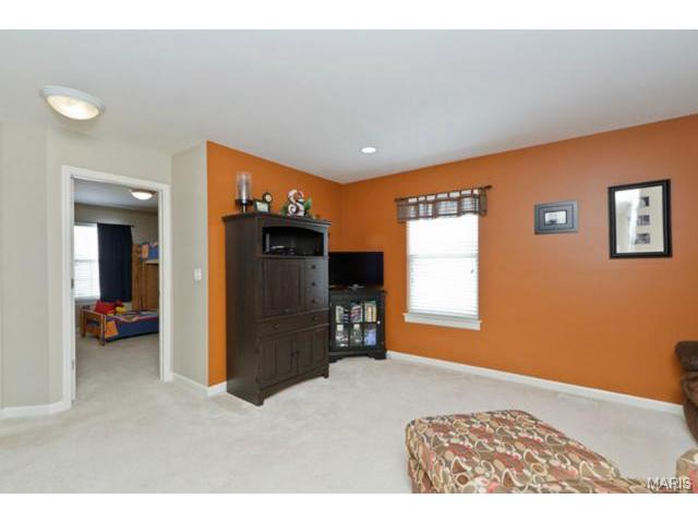 949 Molloy Dr, O'fallon, MO 63366 photo 21