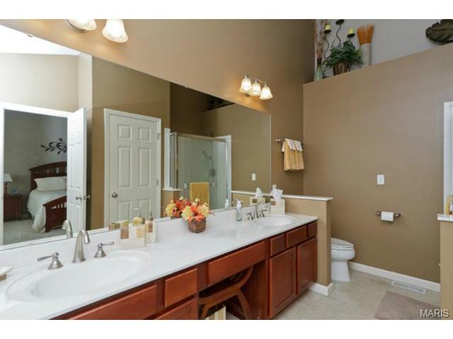 949 Molloy Dr, O'fallon, MO 63366 photo 27