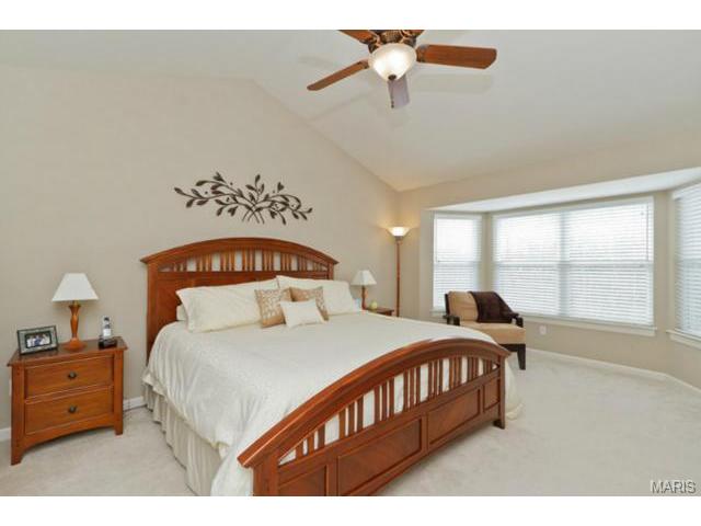 949 Molloy Dr, O'fallon, MO 63366 photo 26
