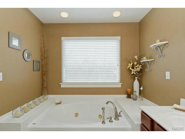 949 Molloy Dr, O'fallon, MO 63366 photo 28