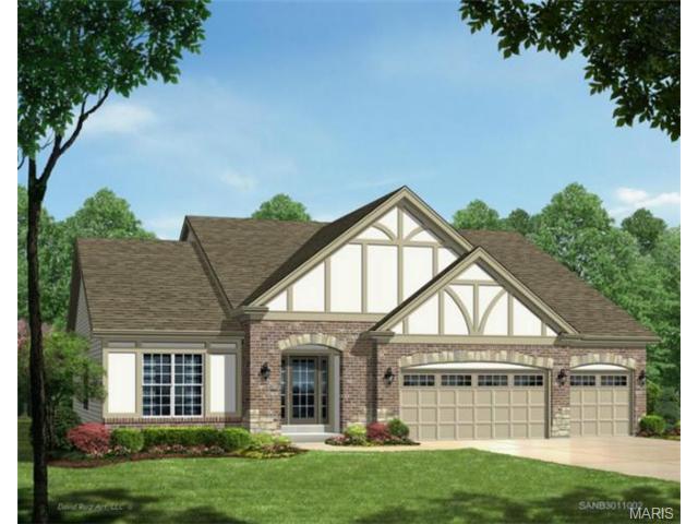 1670 Pin Seeker Ct, Eureka, MO 63025 photo 1