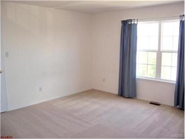 910 Bentley Park Cir, O'fallon, MO 63368 photo 16