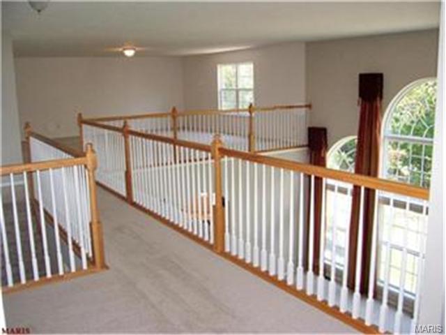 910 Bentley Park Cir, O'fallon, MO 63368 photo 21