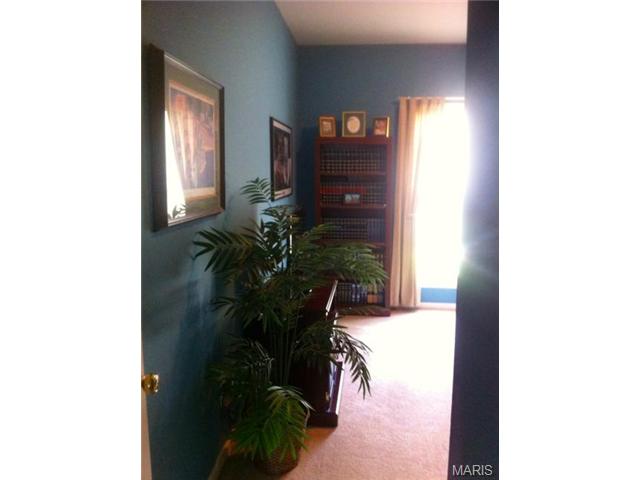 1585 Wainscott Dr, O'fallon, MO 63366 photo 31