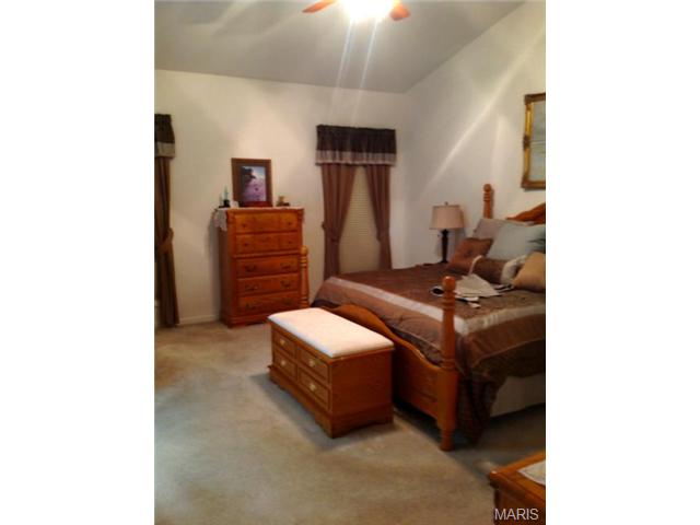 1585 Wainscott Dr, O'fallon, MO 63366 photo 20