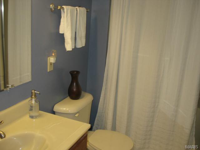6401 Long Timber Dr, O'fallon, MO 63368 photo 38