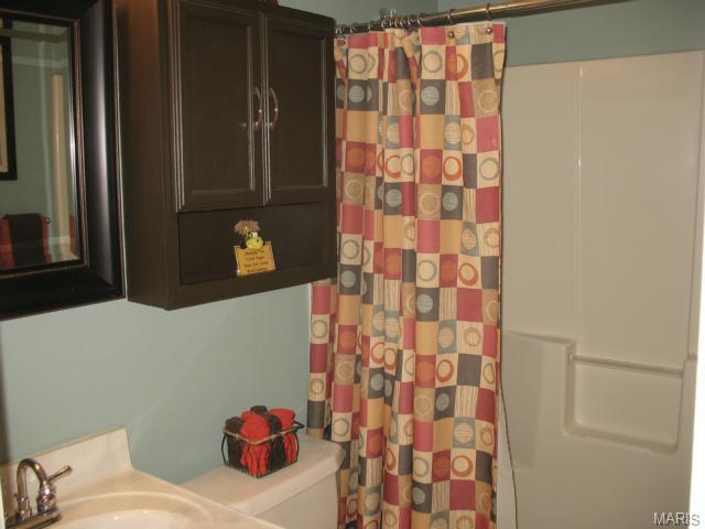 6401 Long Timber Dr, O'fallon, MO 63368 photo 30