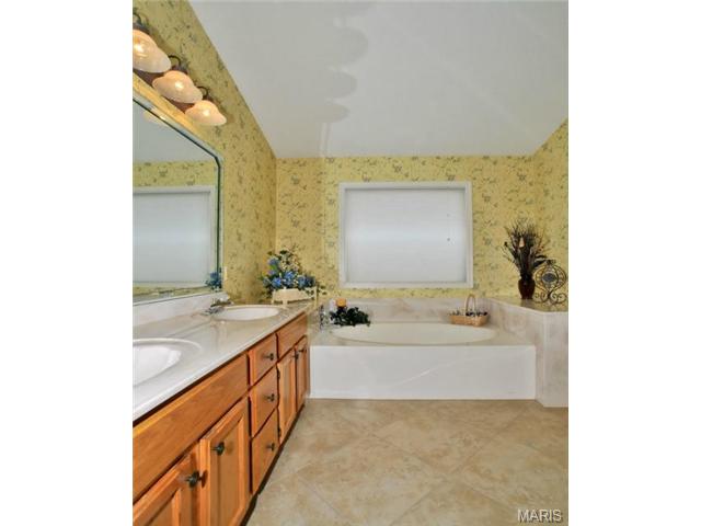 21 Dunleith Ct, O'fallon, MO 63366 photo 9