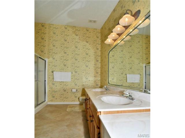 21 Dunleith Ct, O'fallon, MO 63366 photo 10