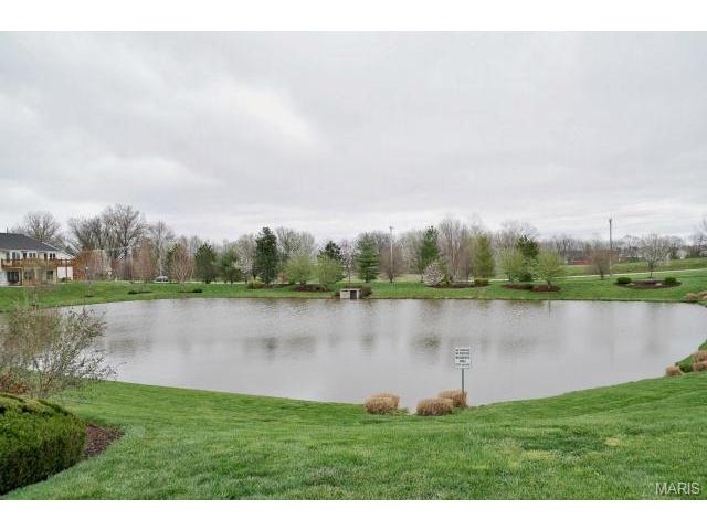21 Dunleith Ct, O'fallon, MO 63366 photo 23