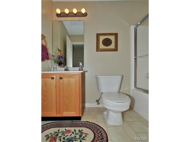 21 Dunleith Ct, O'fallon, MO 63366 photo 18