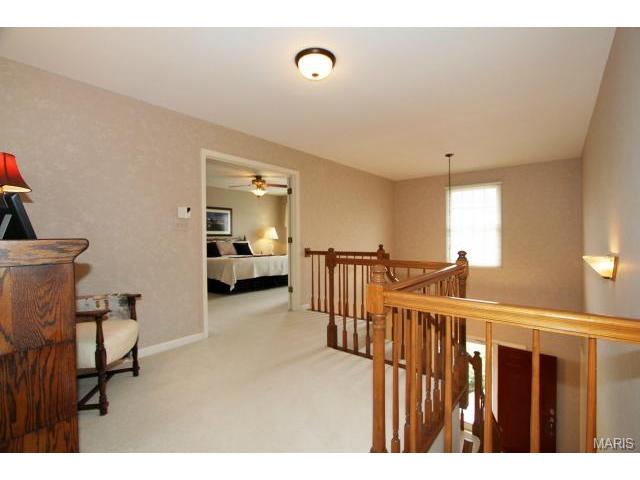 423 Arbor Glen Dr, Ballwin, MO 63021 photo 15