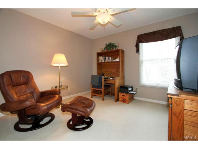 423 Arbor Glen Dr, Ballwin, MO 63021 photo 20