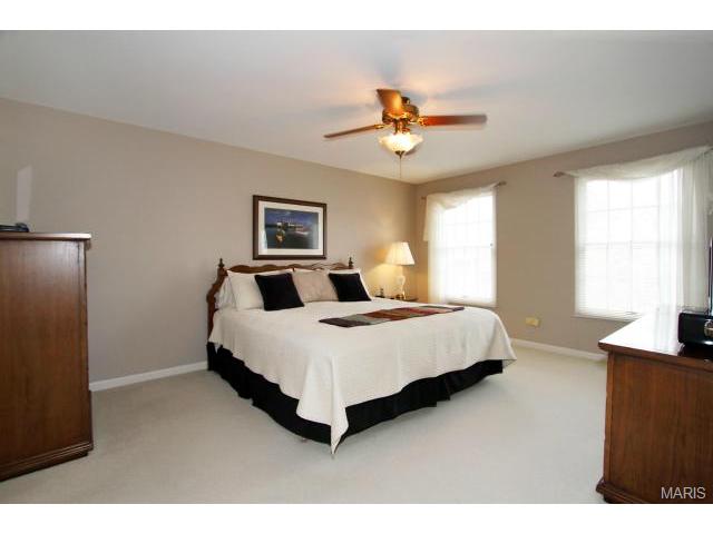 423 Arbor Glen Dr, Ballwin, MO 63021 photo 16