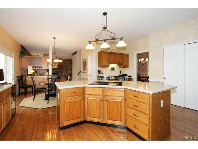 423 Arbor Glen Dr, Ballwin, MO 63021 photo 12