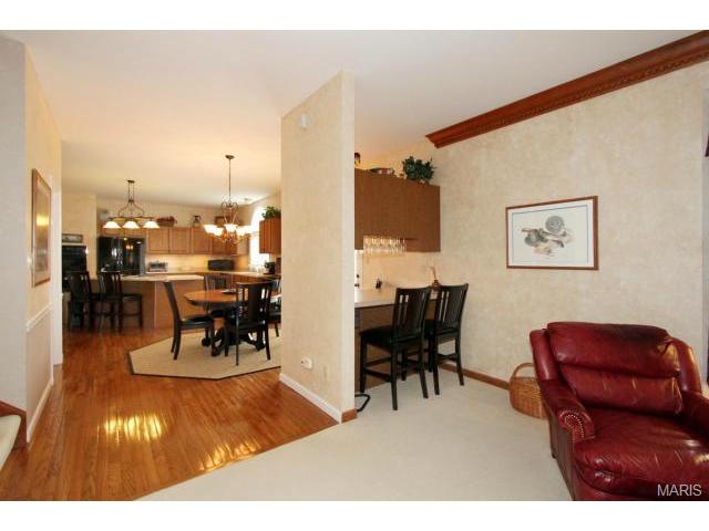 423 Arbor Glen Dr, Ballwin, MO 63021 photo 7