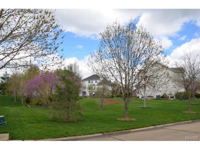5578 Hennsley Cir, Weldon Spring, MO 63304 photo 4