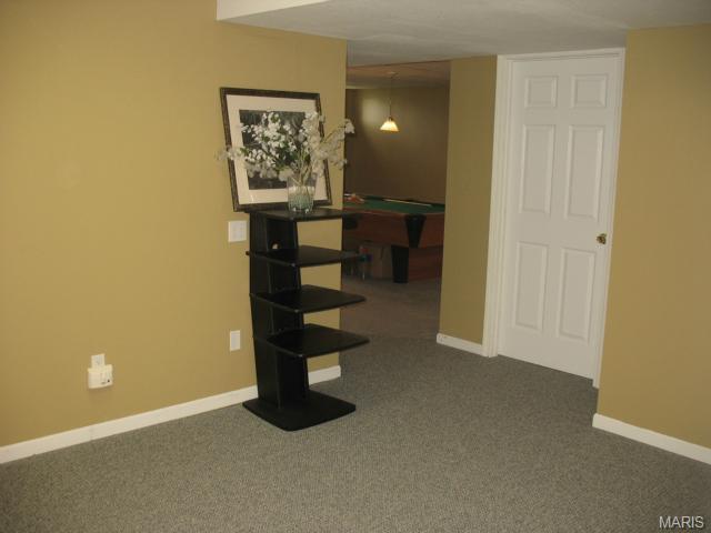 21 Dugout Ct, O'fallon, MO 63366 photo 16