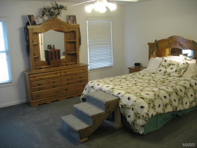 21 Dugout Ct, O'fallon, MO 63366 photo 7